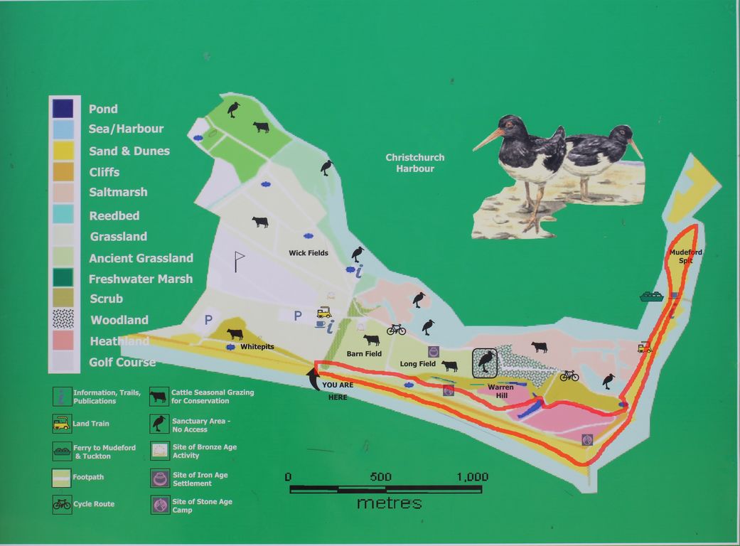ScottC Hengistbury Head